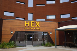 Hex Hotel